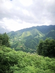 山