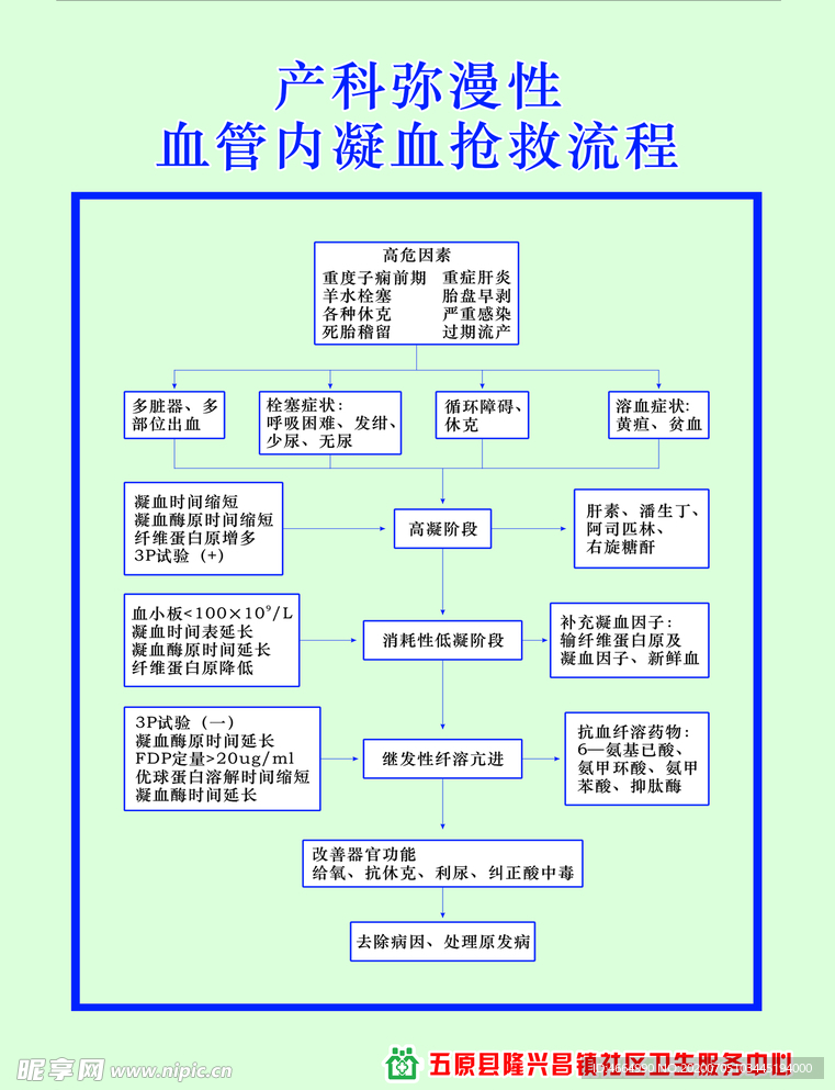 抢救规程