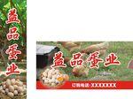 鸡蛋