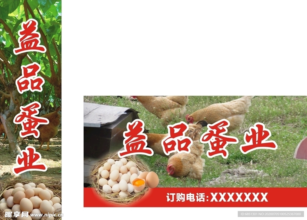鸡蛋