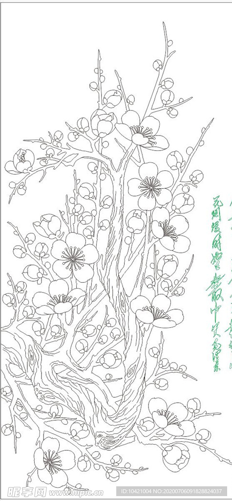 线描梅花