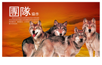 企业文化