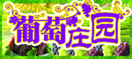 葡萄庄园