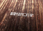 LOGO样机