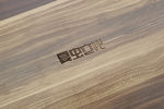LOGO样机