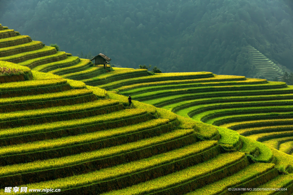 梯田风景