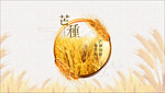 芒种海报