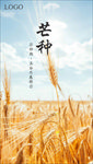 芒种海报