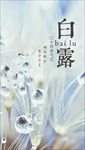 白露海报