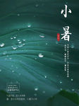 小暑
