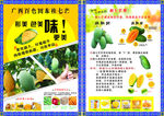 芒果宣传单图片