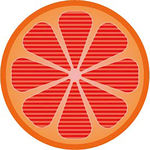 橙子截面素材