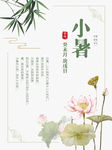 小暑海报
