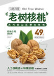 老树核桃海报