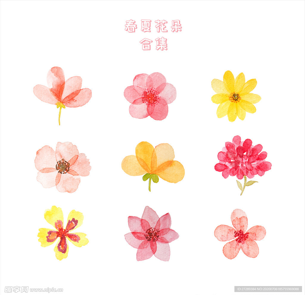 花朵合集