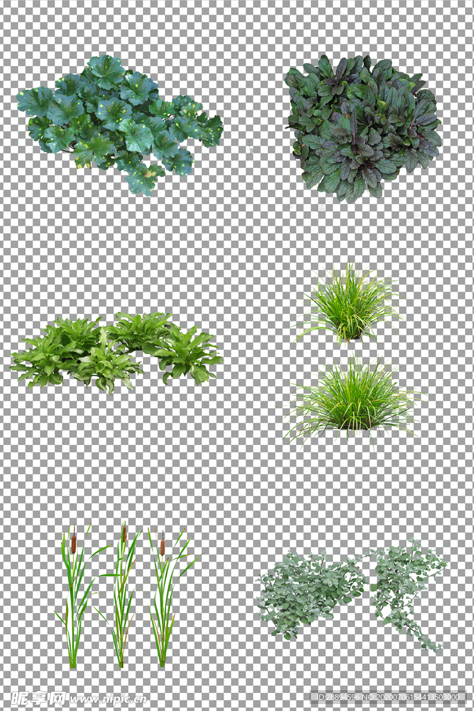 清新绿色植物
