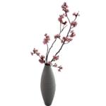 桃花 腊梅  花瓶