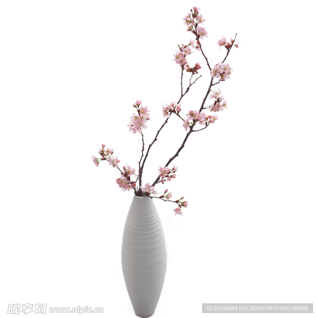 桃花 腊梅  花瓶