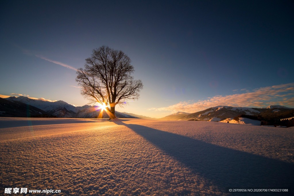 冬日阳光雪景