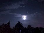 夜景