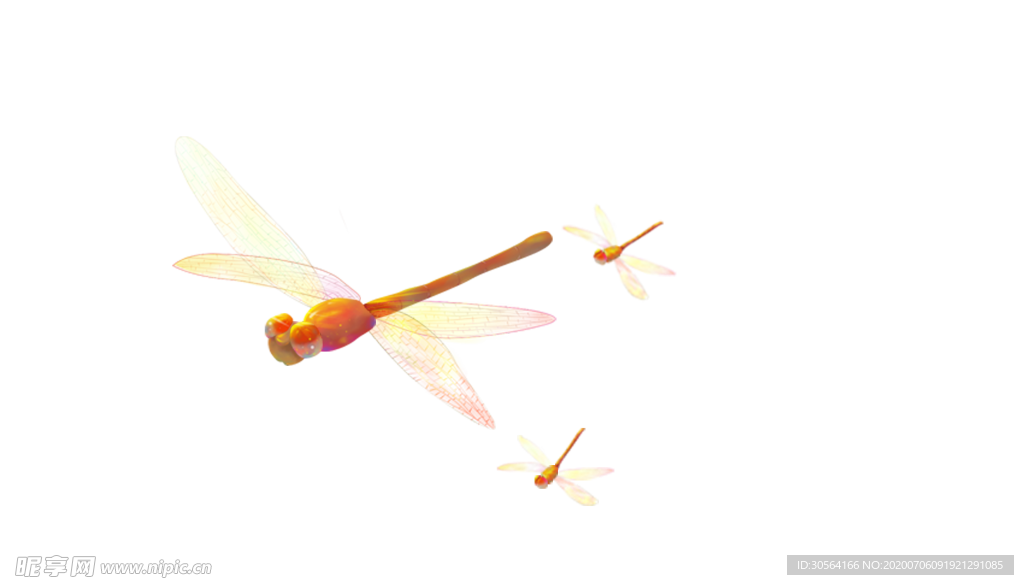 蜻蜓生物自然插画卡通素材