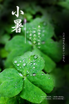 小暑