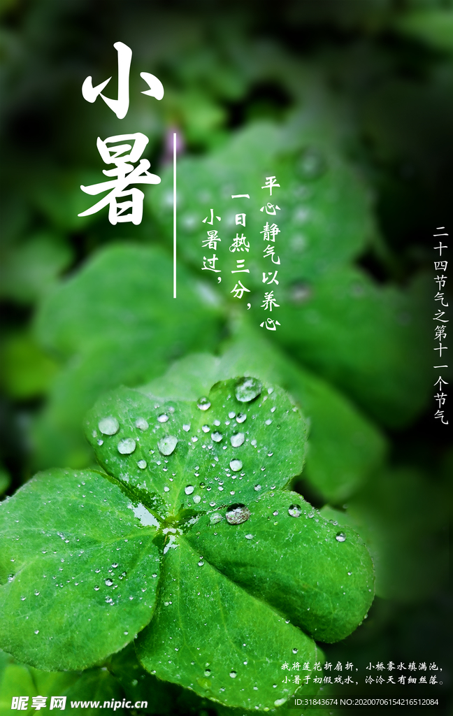 小暑