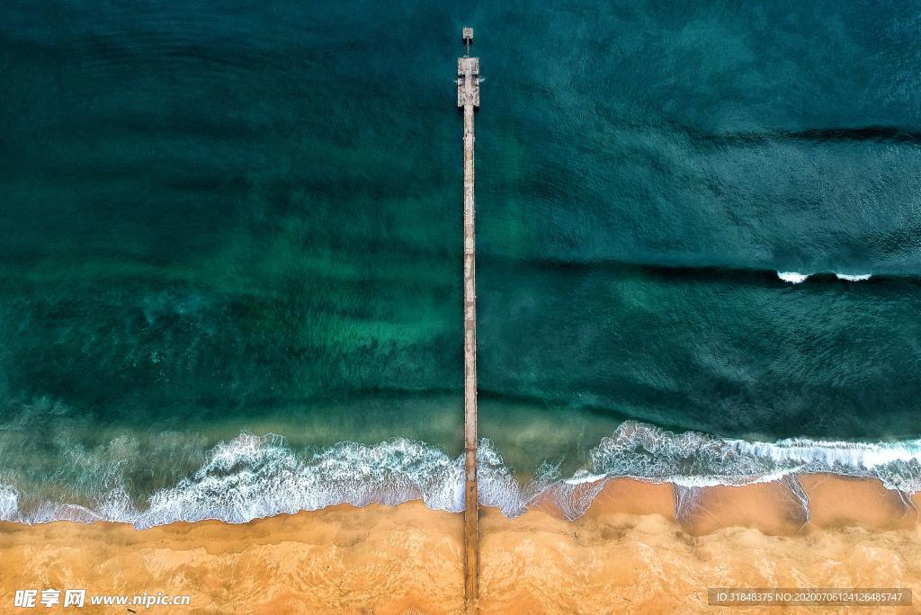 海