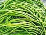 缸豆