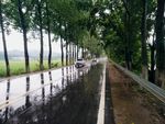 道路