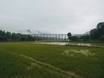 雨中田野