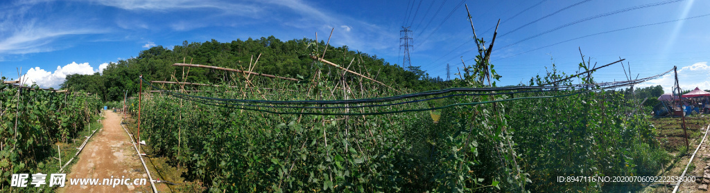 蓝天白云 风景