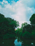 夏天