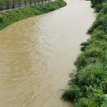 黄河水 洪水