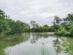 西溪湿地