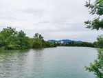 西溪湿地