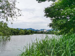 西溪湿地