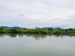 西溪湿地