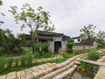 西溪湿地