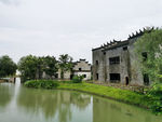 西溪湿地