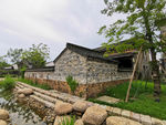 西溪湿地