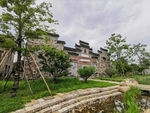 西溪湿地