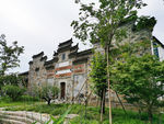 西溪湿地