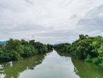 西溪湿地