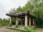 西溪湿地