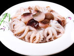 八爪鱼