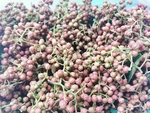 干青花椒