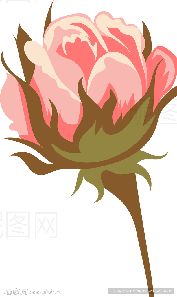 玫瑰花