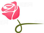 玫瑰花