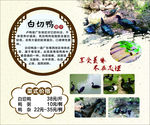 菜品海报